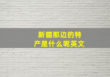 新疆那边的特产是什么呢英文