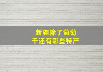 新疆除了葡萄干还有哪些特产