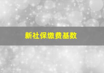 新社保缴费基数