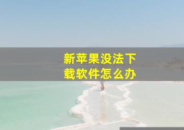 新苹果没法下载软件怎么办