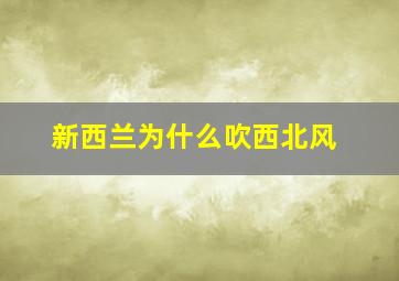 新西兰为什么吹西北风