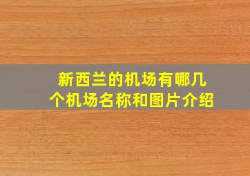 新西兰的机场有哪几个机场名称和图片介绍