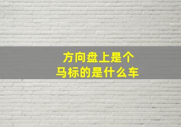 方向盘上是个马标的是什么车