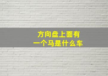 方向盘上面有一个马是什么车