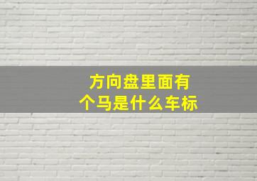 方向盘里面有个马是什么车标