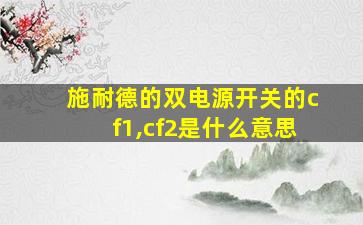 施耐德的双电源开关的cf1,cf2是什么意思