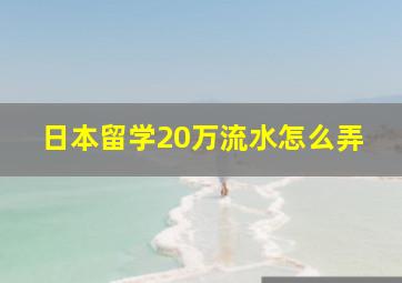 日本留学20万流水怎么弄