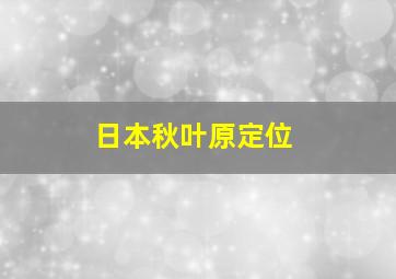 日本秋叶原定位