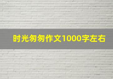 时光匆匆作文1000字左右