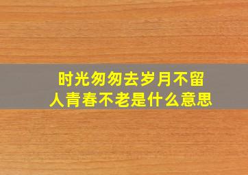 时光匆匆去岁月不留人青春不老是什么意思