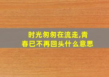 时光匆匆在流走,青春已不再回头什么意思