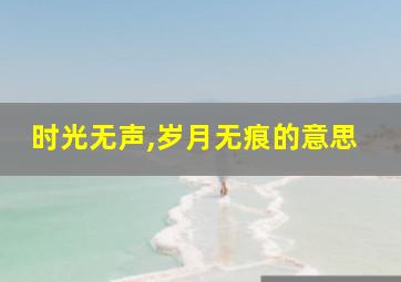 时光无声,岁月无痕的意思