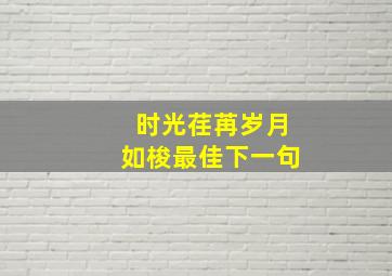 时光荏苒岁月如梭最佳下一句