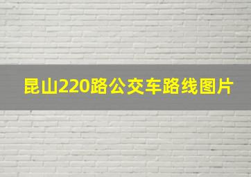 昆山220路公交车路线图片