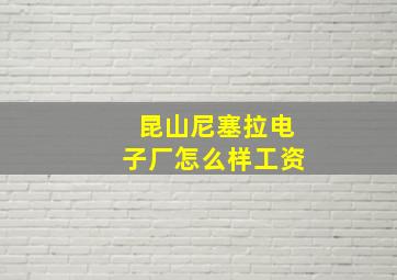 昆山尼塞拉电子厂怎么样工资