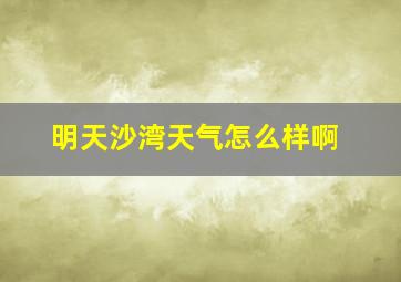 明天沙湾天气怎么样啊