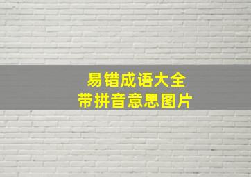 易错成语大全带拼音意思图片