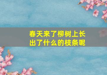 春天来了柳树上长出了什么的枝条呢