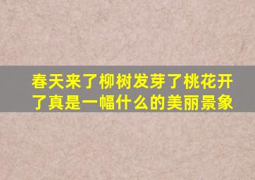 春天来了柳树发芽了桃花开了真是一幅什么的美丽景象