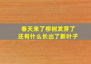 春天来了柳树发芽了还有什么长出了新叶子