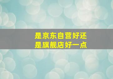 是京东自营好还是旗舰店好一点