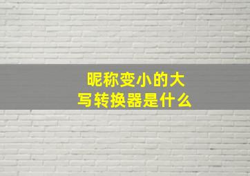 昵称变小的大写转换器是什么