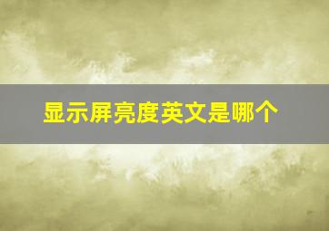 显示屏亮度英文是哪个