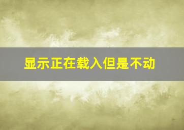 显示正在载入但是不动