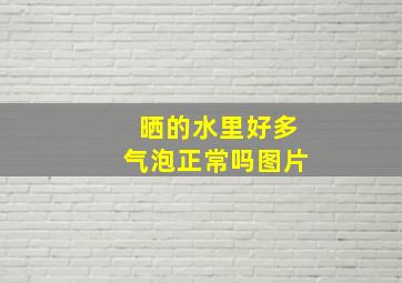 晒的水里好多气泡正常吗图片