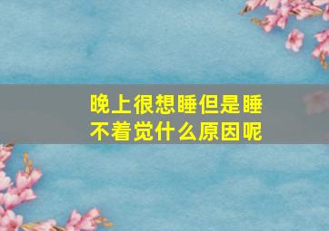 晚上很想睡但是睡不着觉什么原因呢