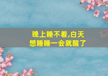 晚上睡不着,白天想睡睡一会就醒了