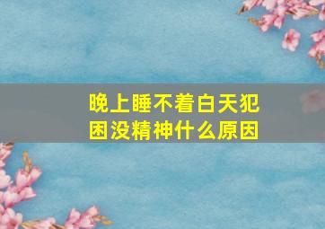 晚上睡不着白天犯困没精神什么原因