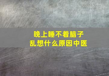 晚上睡不着脑子乱想什么原因中医