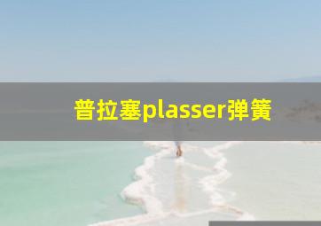 普拉塞plasser弹簧