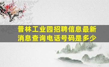 普林工业园招聘信息最新消息查询电话号码是多少