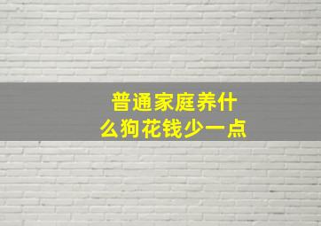 普通家庭养什么狗花钱少一点