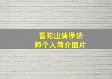 普陀山清净法师个人简介图片