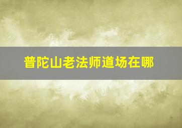 普陀山老法师道场在哪