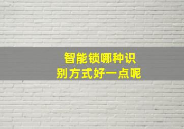 智能锁哪种识别方式好一点呢