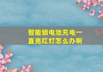 智能锁电池充电一直亮红灯怎么办啊