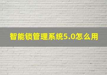 智能锁管理系统5.0怎么用