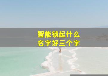 智能锁起什么名字好三个字