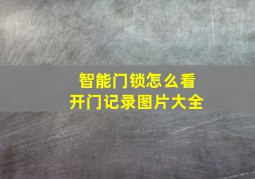 智能门锁怎么看开门记录图片大全