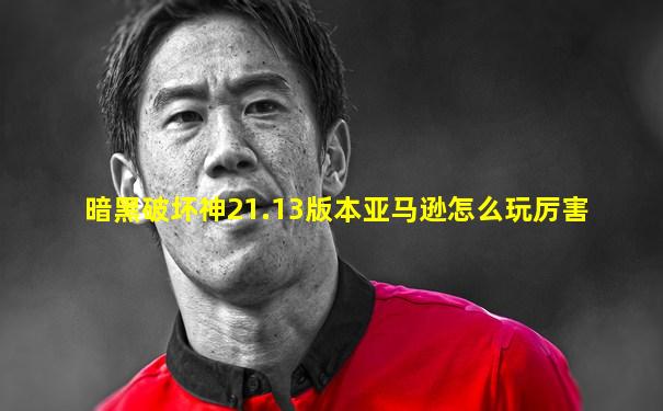 暗黑破坏神21.13版本亚马逊怎么玩厉害