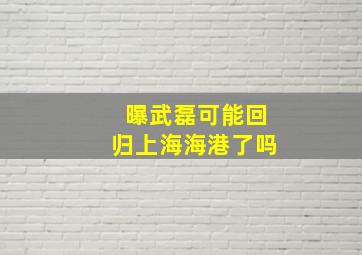 曝武磊可能回归上海海港了吗