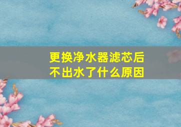 更换净水器滤芯后不出水了什么原因