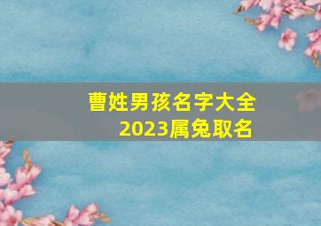 曹姓男孩名字大全2023属兔取名