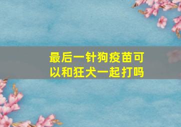 最后一针狗疫苗可以和狂犬一起打吗