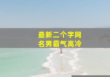 最新二个字网名男霸气高冷