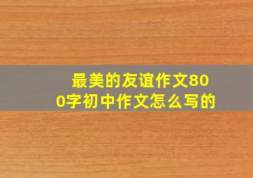 最美的友谊作文800字初中作文怎么写的